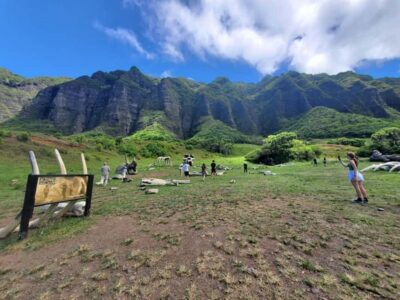 From Waikiki: Oahu Circle Island Tour - Practical tips so your day runs smoothly