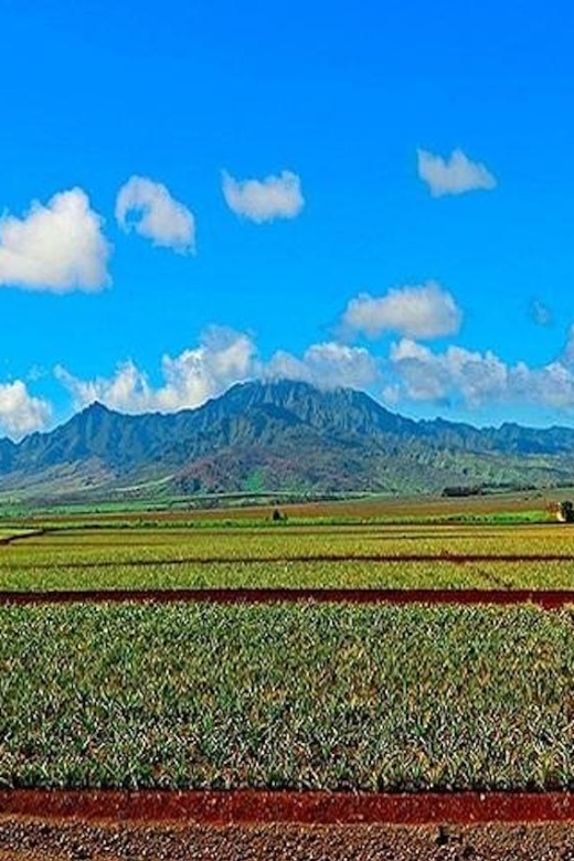 From Waikiki: Oahu Grand Circle Island Experience - Puaʻena Point Beach Park: The One-Hour Water Time That Changes the Day