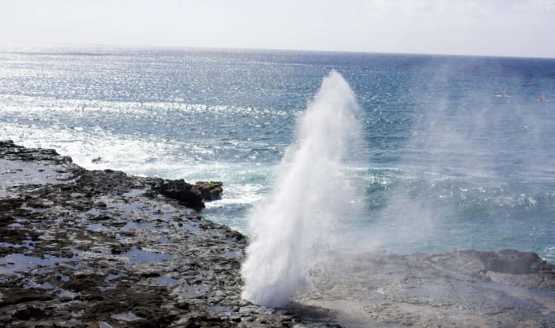 From Waikiki: Oahu Scenic Half-Day Circle Island Tour - How the half-day format fits Oahu without stealing your whole day