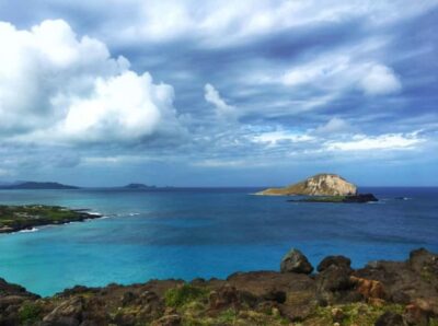 From Waikiki: Oahu Scenic Half-Day Circle Island Tour - Hawaiian Island Café breakfast burrito: included energy before the viewpoints