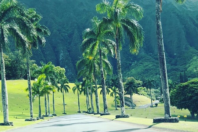 Full-Day Circle Island Guided Tour of Oahu - Tropical Farms macadamia shopping: souvenirs you’ll actually use