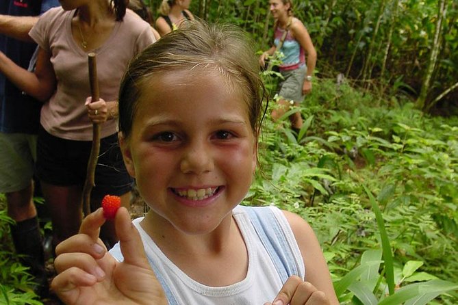 Full Day Oahu Bike, Hike, Sail and Snorkel Combo - Hike Time in the Rainforest: 2 Miles, 75 Acres, Local Stories