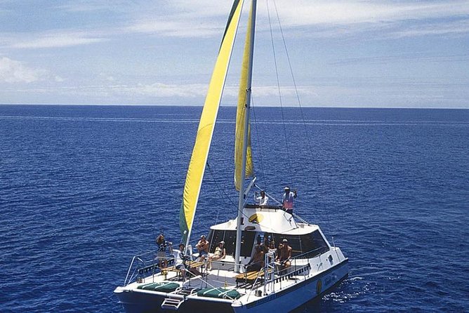 Full Day Oahu Bike, Hike, Sail and Snorkel Combo - The Pu’u Ohia Bike Ride: 5 Miles Downhill and Birdsong Overhead