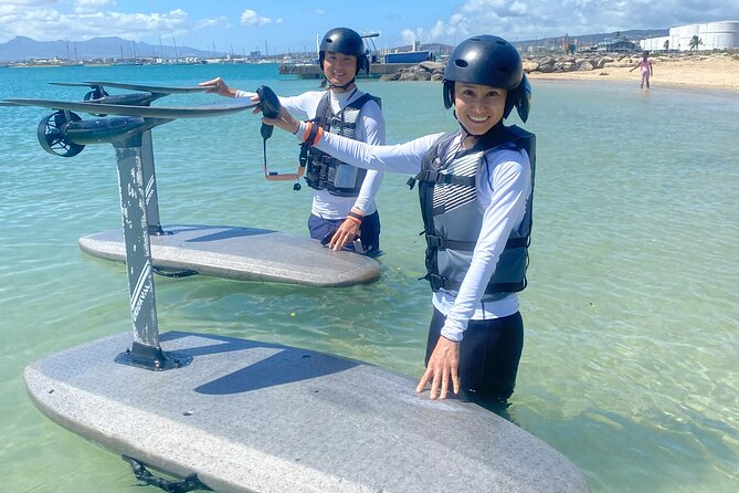 Group of 2 + mid length eFoil experience Honolulu HAWAII - Where the Lesson Starts in Honolulu: Sand Island Pick-Up Point