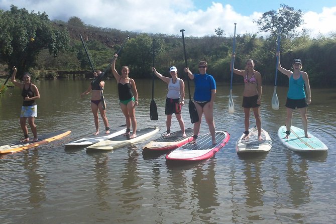Group Stand Up Paddle Lesson and Tour - Wildlife and learning: beyond just seeing turtles