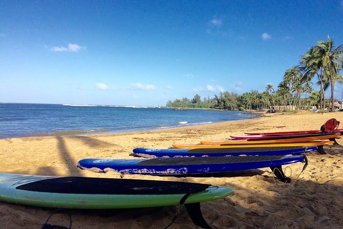 Group Stand Up Paddle Lesson and Tour - Who this tour fits best (and who might want something else)