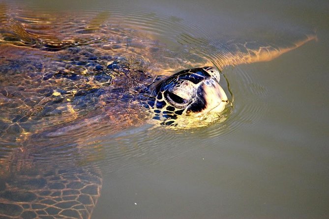 Group Stand Up Paddle Lesson and Tour - What to bring for a smoother day