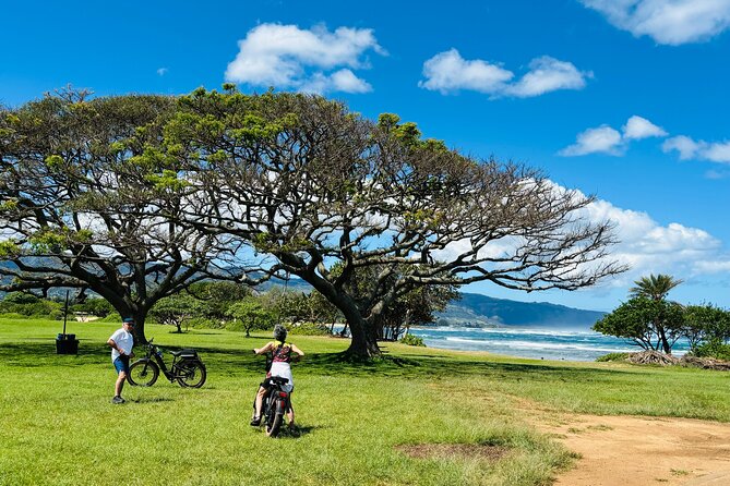 Guided E-Bike Tour in North Shore - Key highlights you’ll feel right away