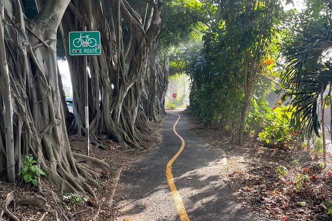 Guided E-Bike Tour in North Shore - Stop-by-stop: Haleiwa Beach Park for surfers and beach time