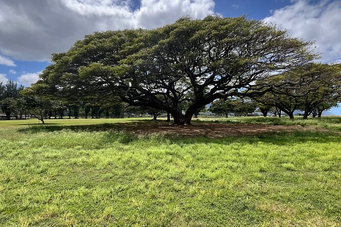Guided E-Bike Tour in North Shore - Stop-by-stop: Kaiaka Bay Beach Park for calmer waters and scenery