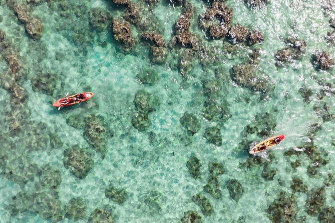 Guided Kayak Tour to Kailua’s Twin Islands - Where the tour starts: 134b Hamakua Dr and the gear handoff