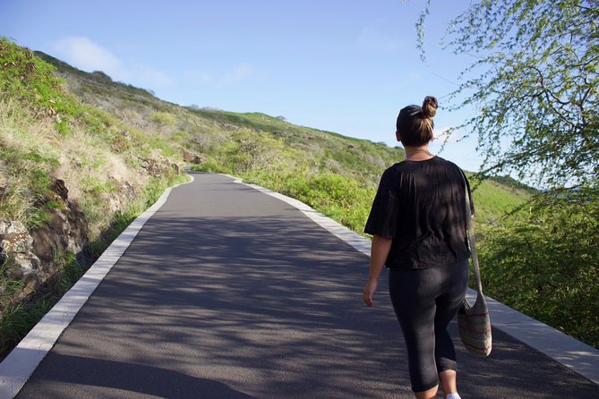 Half-Day Hiking Tour to Diamond Head and Makapuu Lighthouse - Who this tour fits best (and who should choose differently)