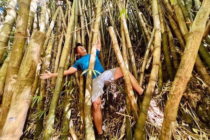 Half-Day Waterfall Tour - Hike, Scenic, Food and Photo - A Waterfall Hunt You Feel in Your Bones