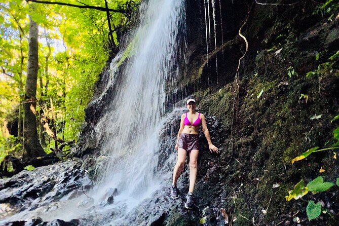 Half-Day Waterfall Tour - Hike, Scenic, Food and Photo - Where the Day Shifts: Tantalus Lookout for Panoramas