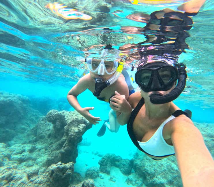 Hanauma Bay Guided Snorkel Tour with guaranteed entrance - The guided 1-hour snorkel: fish spotting and green sea turtles