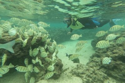 Hanauma Bay Guided Snorkeling Tour with Transportation - What’s included in the snorkel kit (and what you’ll pay extra)