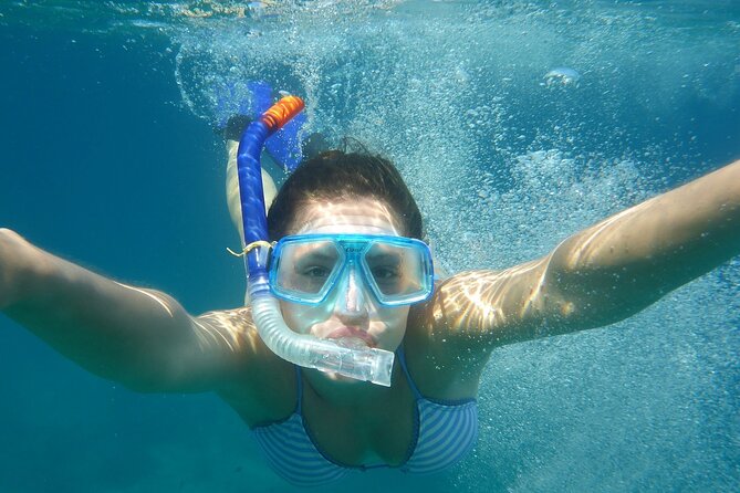 Hanauma Bay Snorkel - Snorkeling expectations: fish, coral, and honu sea turtles