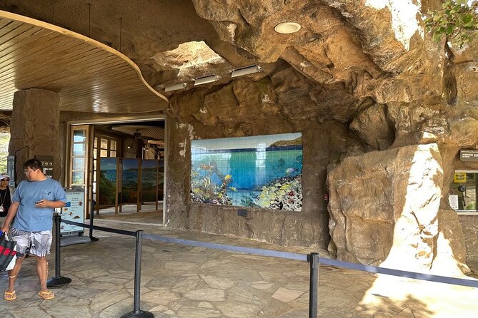 Hanauma Bay Snorkel Lesson - Choosing the right day: weather and the “go/no-go” reality