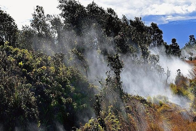 Hawaii Volcanoes National Park Experience from Oahu - Manuka State Wayside Park: A 2-Mile Nature Trail Break