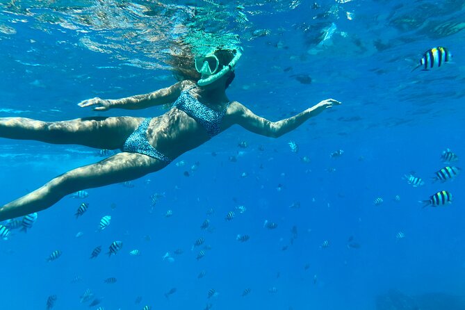 Hawaiian Culture & Snorkel Adventure with Photo/Videos - Quick hits before you go