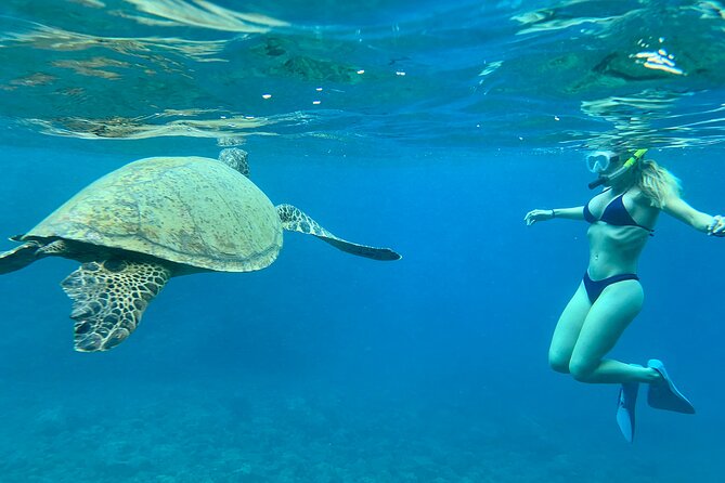 Hawaiian Culture & Snorkel Adventure with Photo/Videos - How the Hawaiian Culture Lesson Fits Into the Snorkel Route