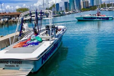 Hawaiian Parasail Since 1977 from Waikiki Beach - Where It Starts: Ala Moana Blvd Meeting Point and Timing