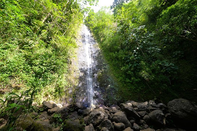 Hawaiian Waterfall Hike - Key highlights worth your attention