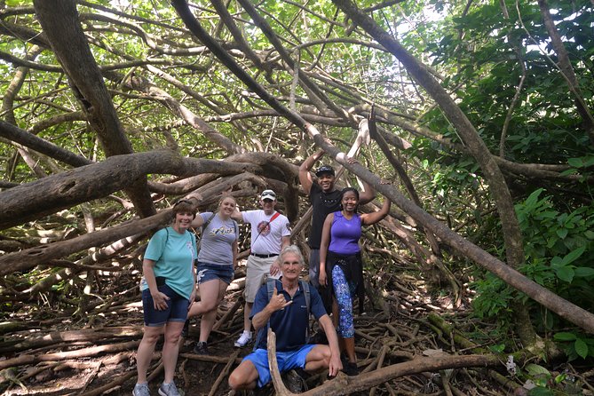 Hawaiian Waterfall Hike - Why a 150-foot waterfall hike starts at 7:30 a.m.