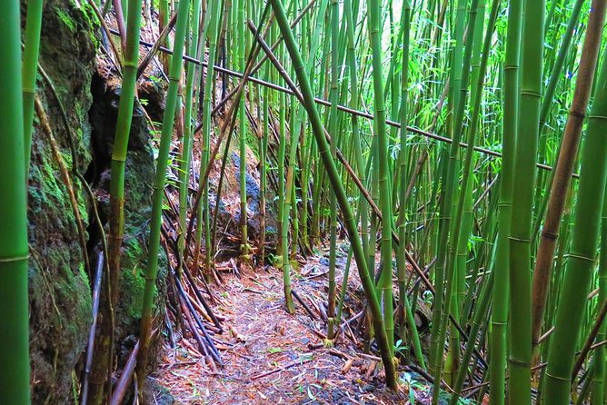 Hawaiian Waterfall Hike - How the guides shape the experience (and how to get more from them)