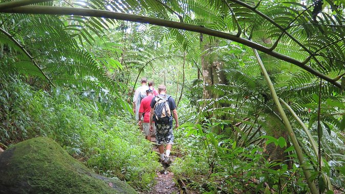Hawaiian Waterfall Hike - Logistics that affect your comfort: rain, mud, and early starts