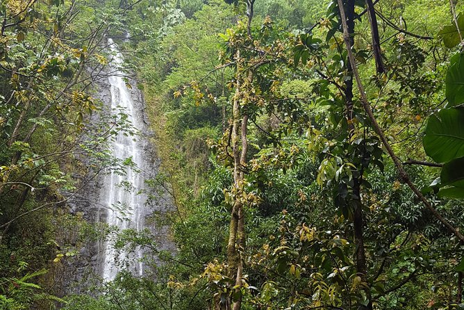 Hawaiian Waterfall Hike - Pickup from select Waikiki hotels, and the easiest way to show up