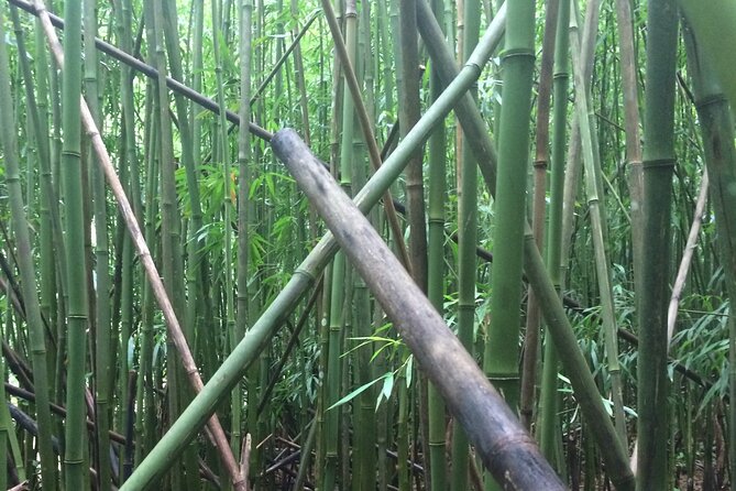 Hidden Hawaii Tours - Price and value: what $150 covers (and what you’ll pay separately)