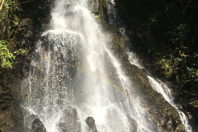 Hidden Hawaii Tours - Group size and comfort: up to 6 people keeps the day flexible