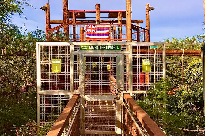High Ropes Adventure Course at Coral Crater - Who this course fits best (and who should rethink it)