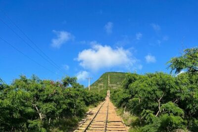 Hike Koko Head's 1,048 Steps with Ms. Hawaii for Summit Views - Waikiki pickup in a blue Alfa Romeo Stelvio: the start matters