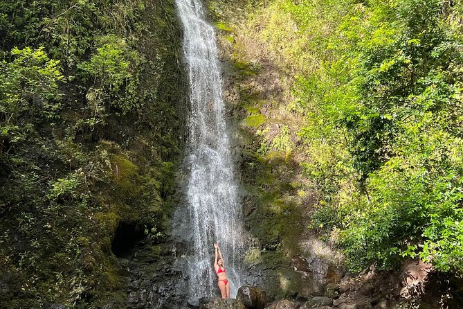 Hike to a Tropical Waterfall - pick up included - Pickup, timing, and why location choice matters