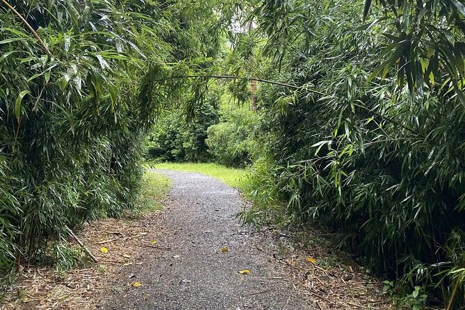 Hike to a Tropical Waterfall - pick up included - What to wear on an Oahu waterfall hike (mud is part of the deal)