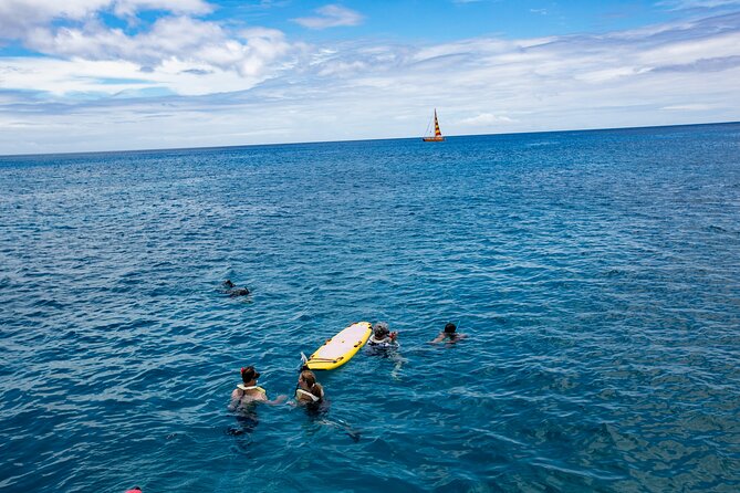 Hilton Hawaiian Village Turtle Snorkel with Optional Lunch - Drink Tickets and Lunch: How the Optional Lunch Changes the Day
