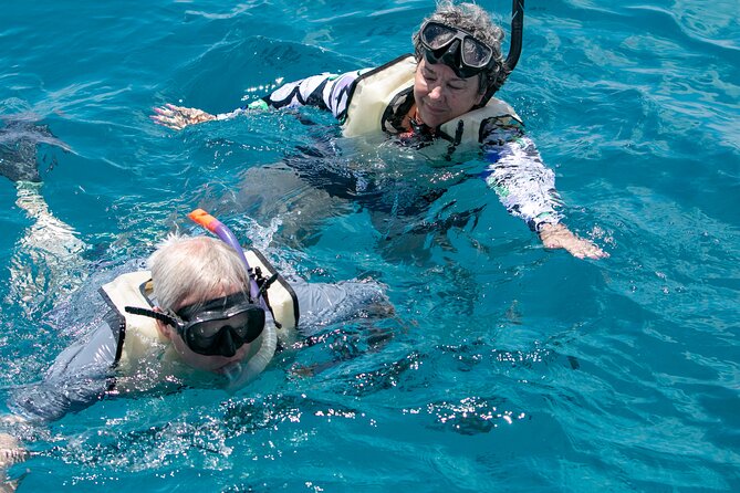 Hilton Hawaiian Village Turtle Snorkel with Optional Lunch - Where the Cruise Goes: Diamond Head, Waikiki Beach, and Queen’s Beach