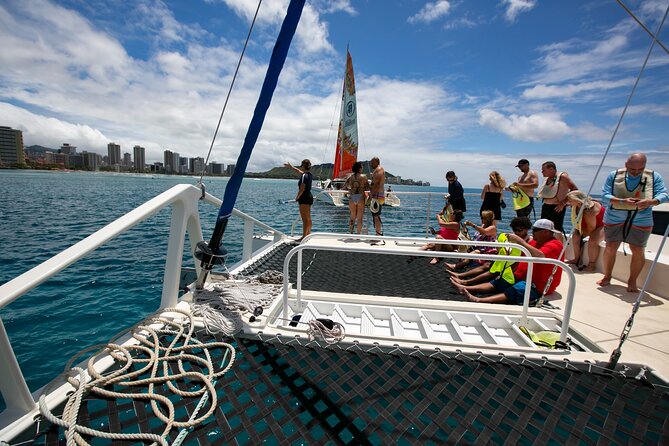 Hilton Hawaiian Village Turtle Snorkel with Optional Lunch - Whales in Season: When December–March Adds a Second Wildlife Hit