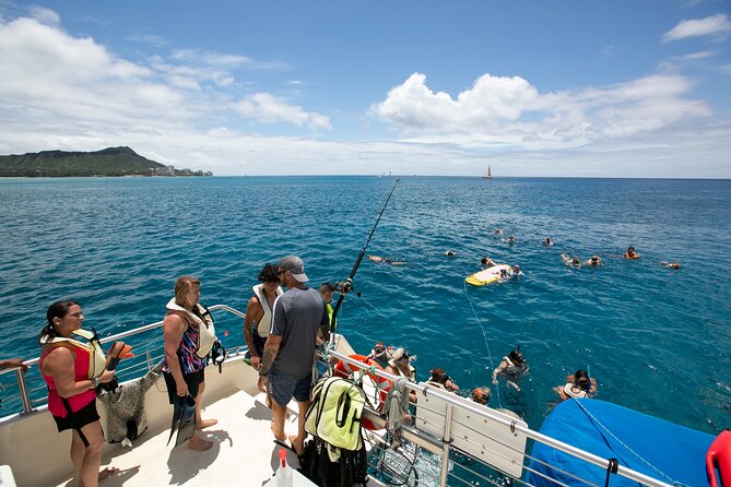 Hilton Hawaiian Village Turtle Snorkel with Optional Lunch - Price and Value: Is $156.79 Worth It?