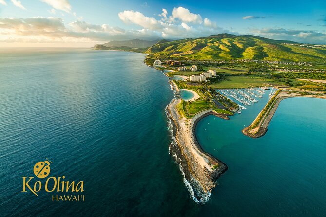 Honolulu Airport & Ko Olina Hotels Private Transfer by Minivan (up to 5 people) - How the Pickup Works at Honolulu Airport