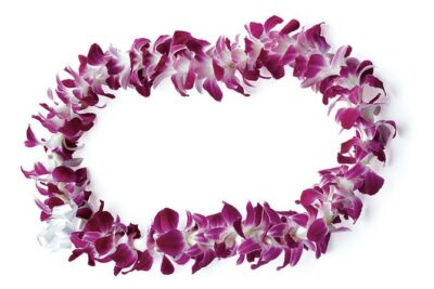 Honolulu Airport: Waikiki Private Transfer With Lei Greeting - Once you’re picked up: comfort, safety, and luggage help