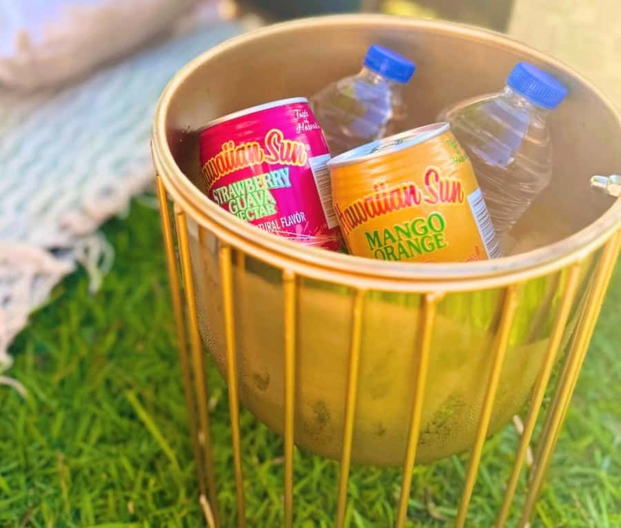 Honolulu: Beachside Luxury Picnic & Paint - A secluded shore makes the whole experience feel more personal