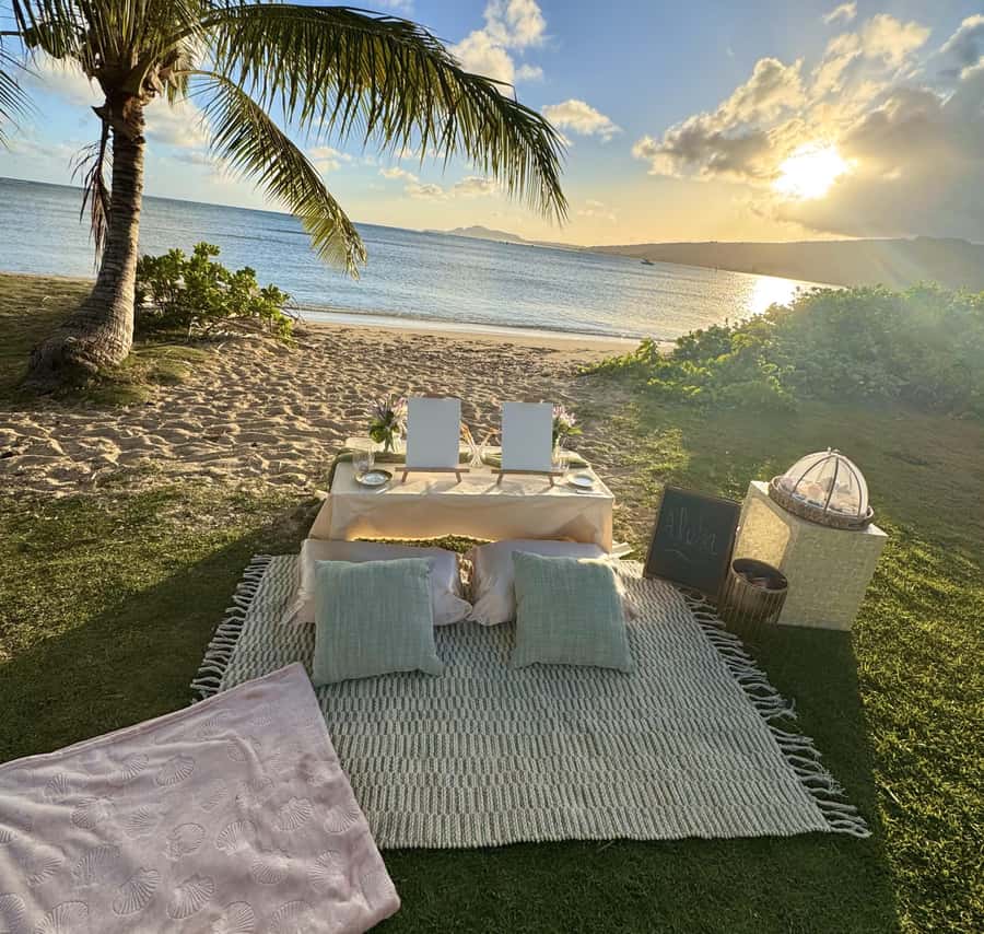 Honolulu: Beachside Luxury Picnic & Paint - Optional photos and taking your art home in one piece