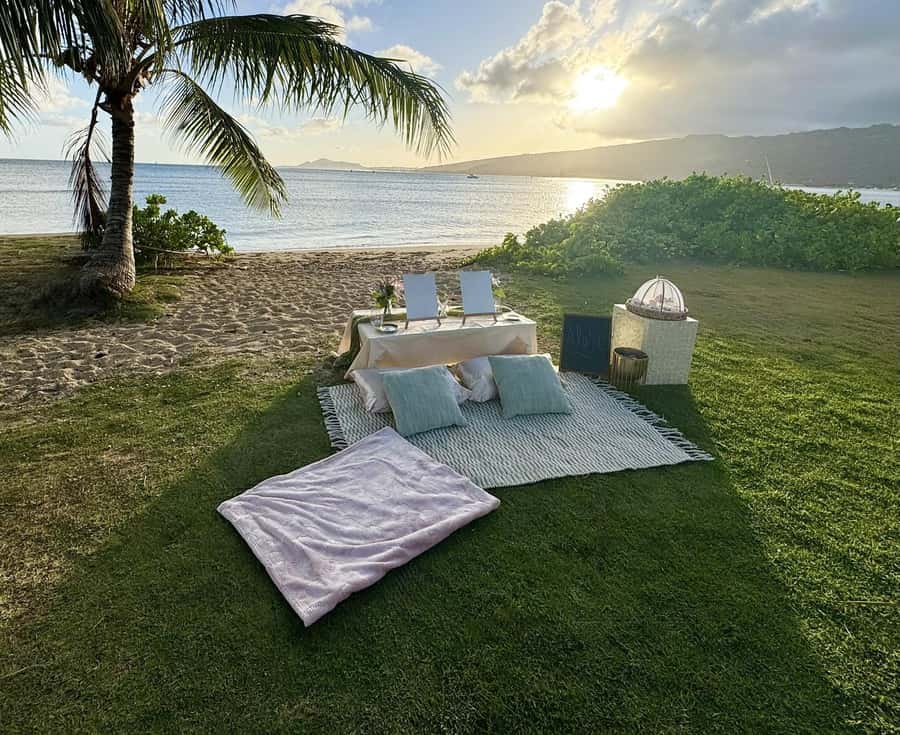 Honolulu: Beachside Luxury Picnic & Paint - Meeting Erica: what you choose, what you get, and how the session starts