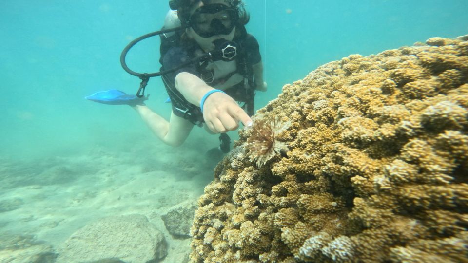 Honolulu: Beginner Scuba Diving Tour With Free Videos - Key Things I’d Prioritize Before You Go
