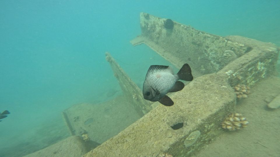 Honolulu: Beginner Scuba Diving Tour With Free Videos - Magic Island Lagoon: Why This Spot Works for First-Timers