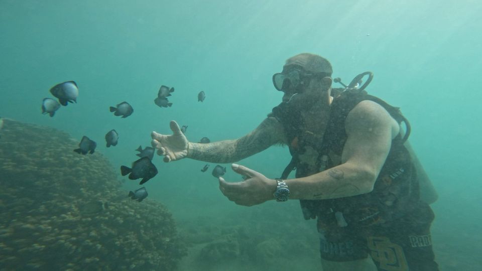 Honolulu: Beginner Scuba Diving Tour With Free Videos - Gear Fitting: Where Most Beginners Feel Clumsy (and Then Don’t)