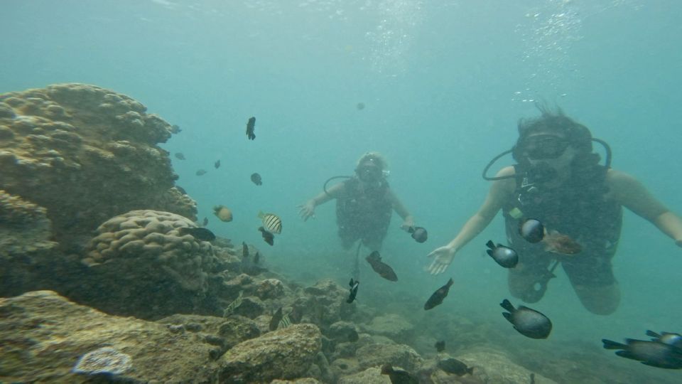 Honolulu: Beginner Scuba Diving Tour With Free Videos - Instructor Kyle and the Small-Group Advantage